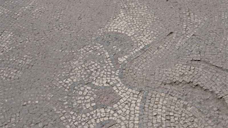 Çiftçinin bulduğu mozaikler gün yüzüne çıkıyor