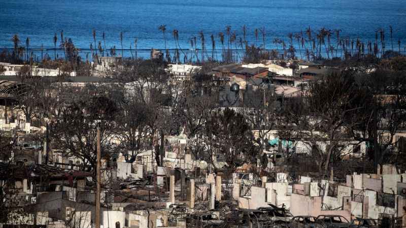 Hawaii'deki orman yangınlarında can kaybı 111'e yükseldi