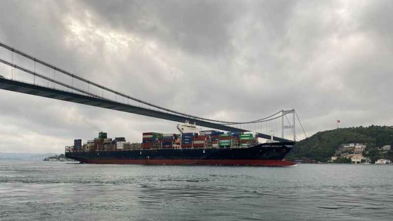 Tahıl Koridoru'ndan geçen konteyner yüklü ilk gemi İstanbul'da