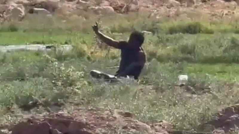 Şanlıurfa'da hastaneden kaçan kuduz hastası paniğe neden oldu