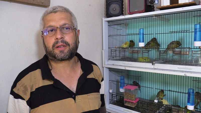 Hobi olarak başladı, şimdi 50 kuşu var