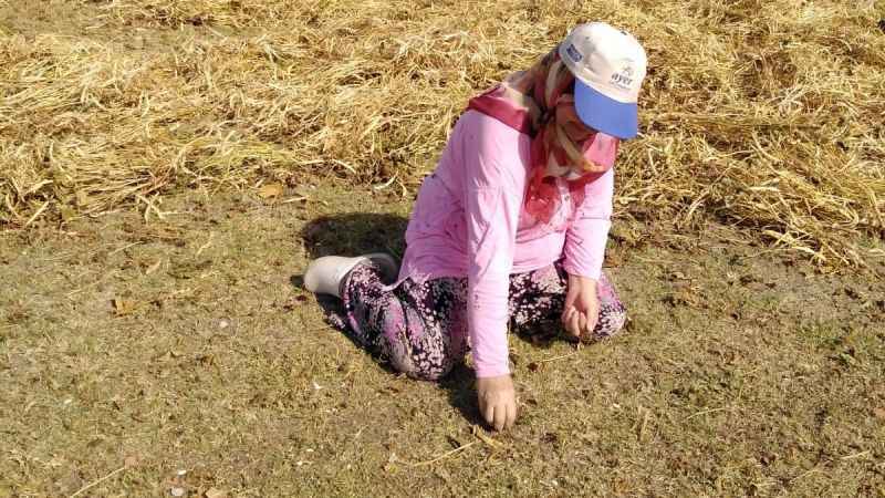 Don Kazaklarının fasulyesi de coğrafi işaret aldı