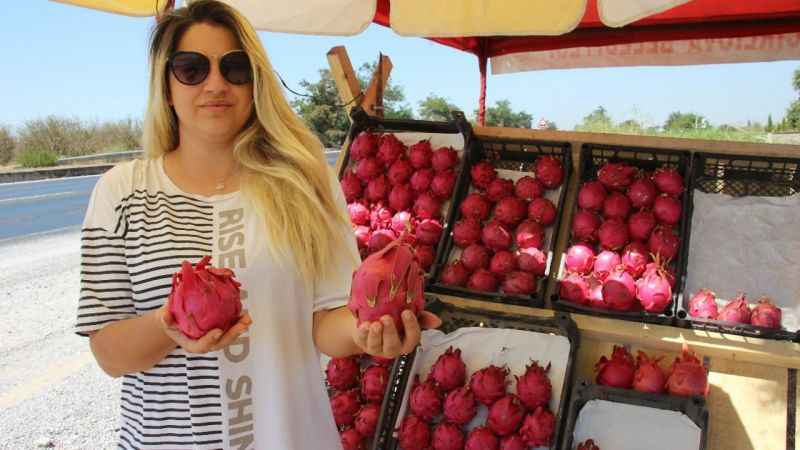 Yediği meyve hayatını değiştirdi, kendi işinin patronu oldu