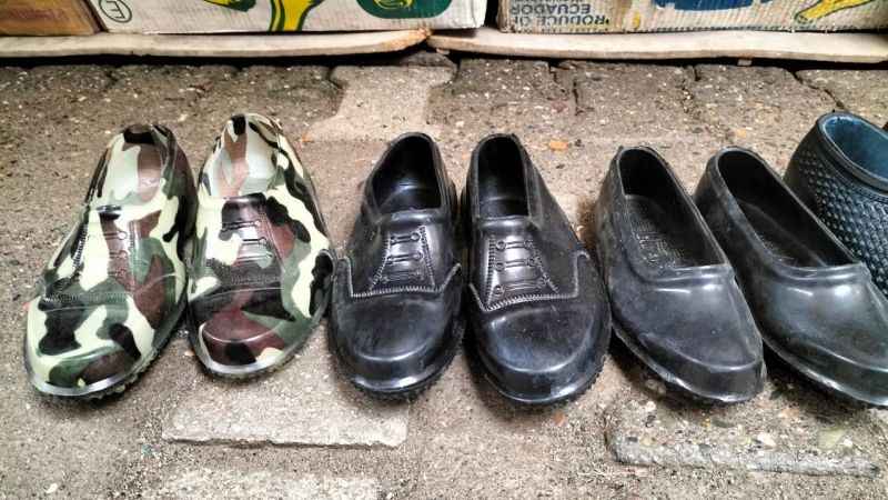 Fındık hasadında kara lastik modası