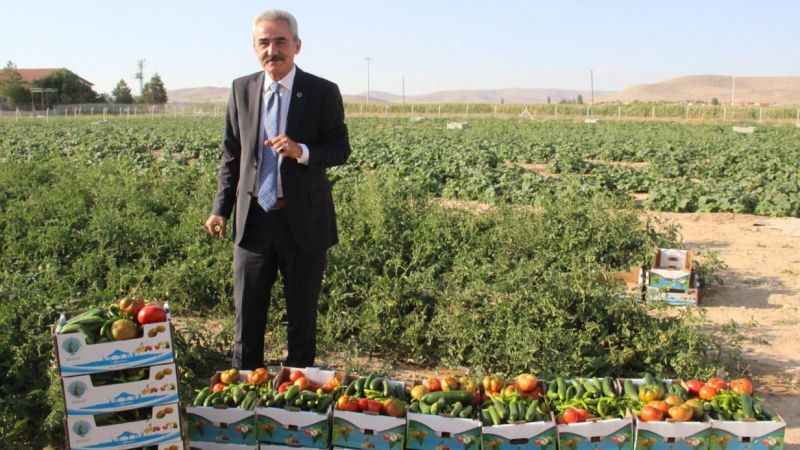 Karaman'ın Ayrancı ilçesinde halk salatalık ve domatesin kilosunu 1 liradan alıyor