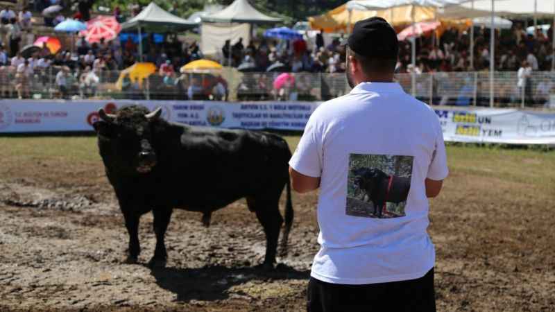 Boğalar Türkiye şampiyonluğu için kapıştı