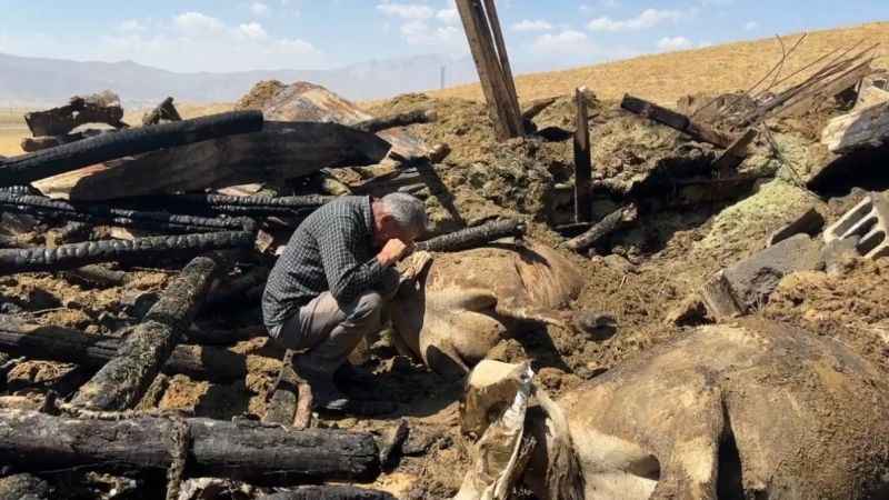 Yangında 7 ineğini kaybetti, hüngür hüngür ağladı
