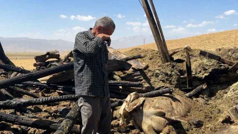 Yangında 7 ineğini kaybetti, hüngür hüngür ağladı