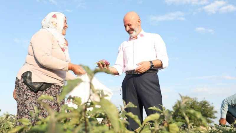 Patlıcan etkinliğine davetlisiniz!