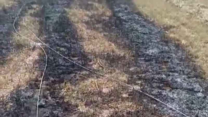 Konya'da kopan elektrik telleri tarlada yangın çıkardı
