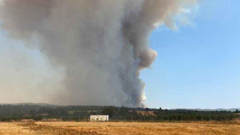 Çanakkale'deki yangın söndürme çalışmalarına TSK'dan destek