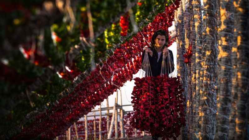 Gaziantep’in kurutmalıkları dünya mutfaklarında