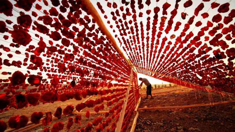 Gaziantep’in kurutmalıkları dünya mutfaklarında