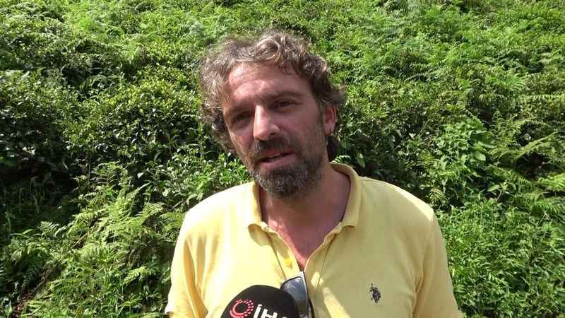 Karadeniz'de Vampir Kelebek istilası