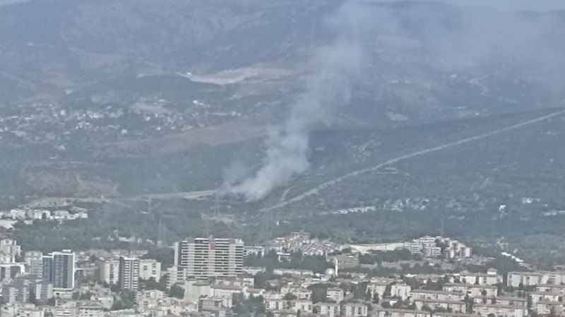 İzmir'de ikinci orman yangını kontrol altında