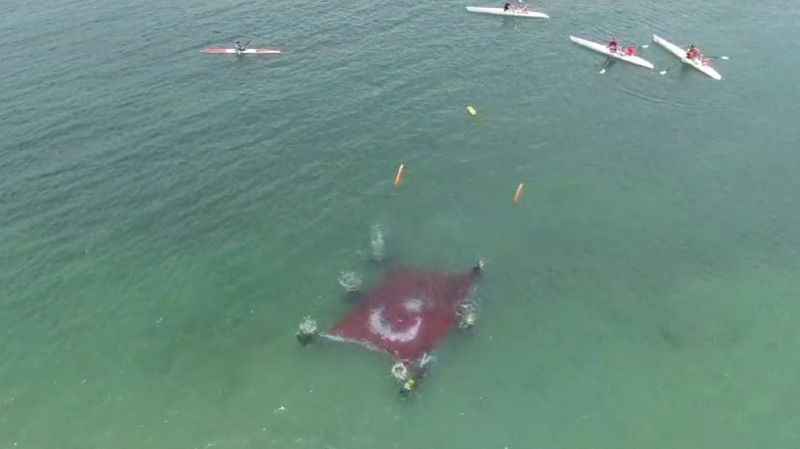 Van Gölü derinliklerinde Zafer Bayramı kutlaması