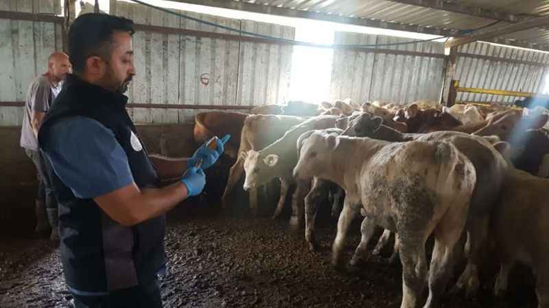 Aşılatmayana cezai işlem uygulanacak