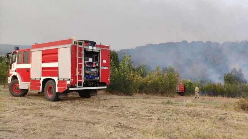 Bulgaristan-Türkiye sınırındaki yangın sebebiyle 2 köy boşaltıldı