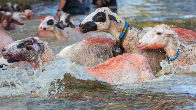 750 yıllık Yörük geleneği renkli görüntülere sahne oldu