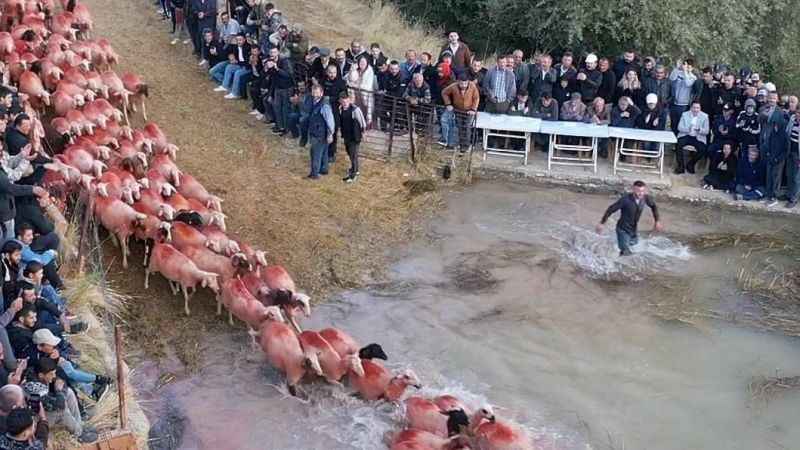 750 yıllık Yörük geleneği renkli görüntülere sahne oldu