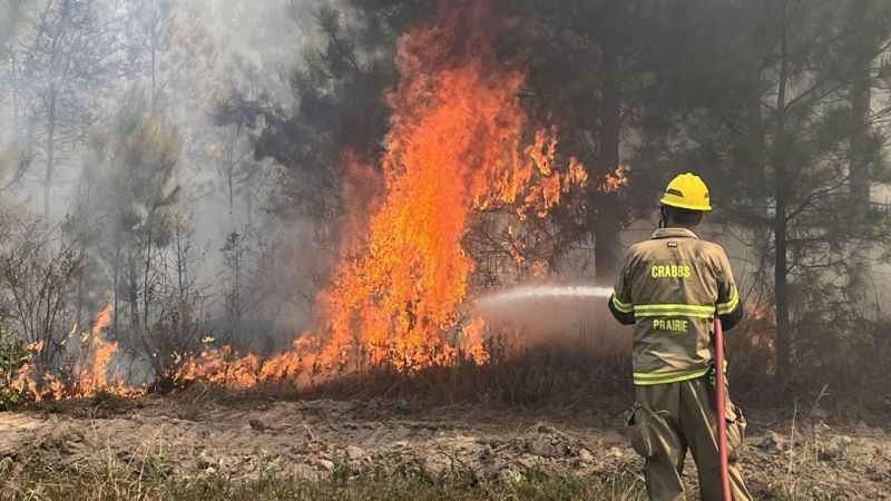 Texas’ta orman yangını: 4 bin 428 dönüm alan yandı