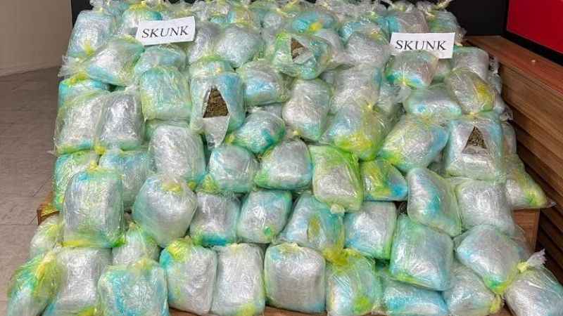 Şanlıurfa’da uyuşturucu operasyonu: 167 kilogram skunk ele geçirildi
