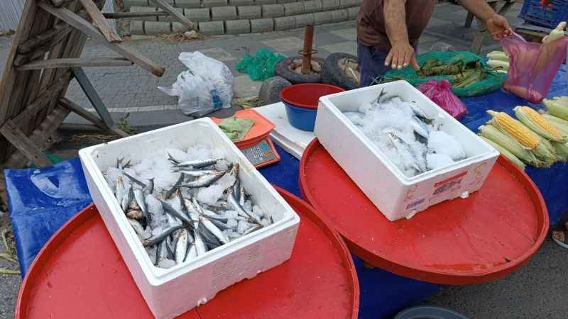 Av sezonu başladı, fiyatlar geriledi