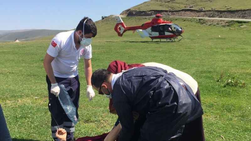 Yaz mevsiminde 113 vaka için havalandı