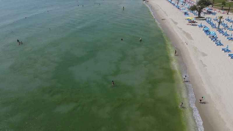 Kapatılan Florya Sahili'nde deniz yeşile büründü