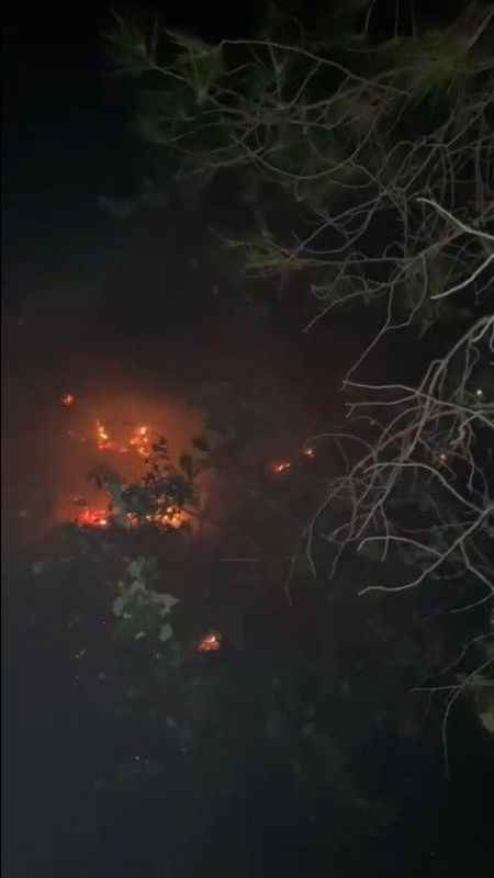 Muğla Menteşe'deki orman yangını kontrol altına alındı