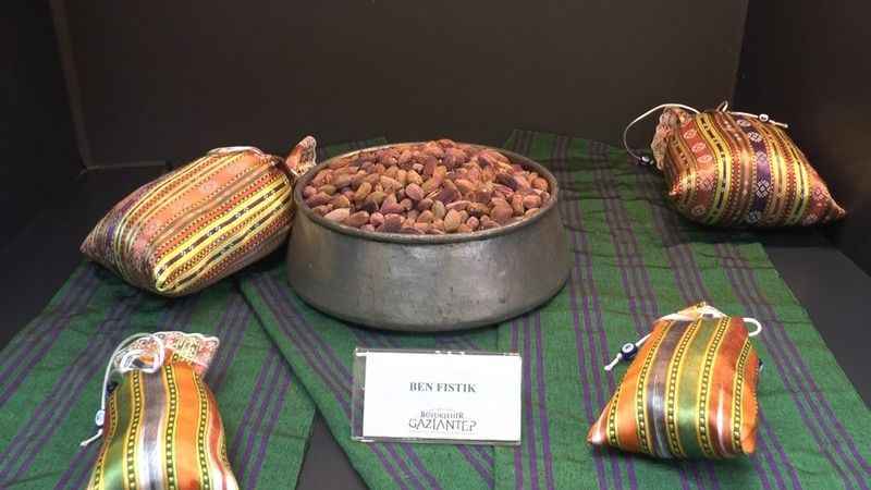 Fıstığın başkenti Gaziantep’te fıstığın tarihine yolculuk