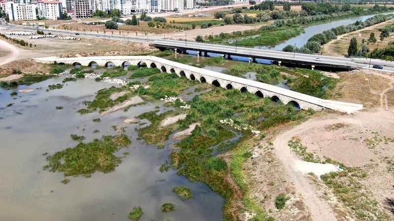 Kuraklık etkili oldu, Kızılırmak otluğa döndü