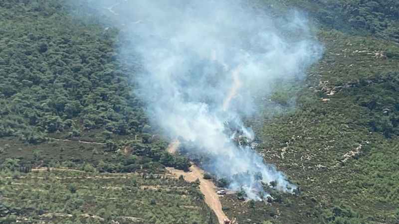 Foça’daki orman yangını kontrol altında