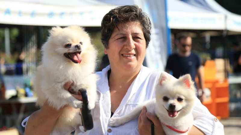 En güzel patiler Pamukkale'de görücüye çıktı