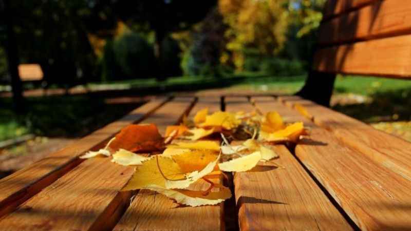 Sonbahar halsizliğine diyetisyenlerden tavsiyeler