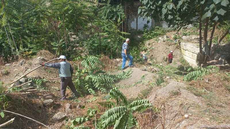 Tarihi Bizans surları otlardan temizleniyor
