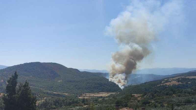 Soma’da orman yangını