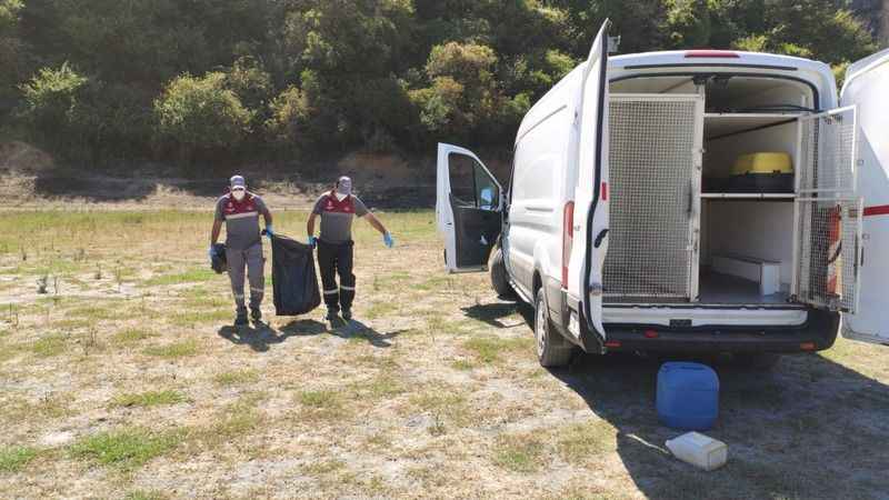 Alibey Barajı'ndaki köpek ölülerini İSKİ temizlemeyince, Sultangazi Belediyesi topladı