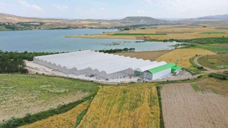 Jeotermal serada 'topraksız tarım' başladı: Yaz kış üretim olacak