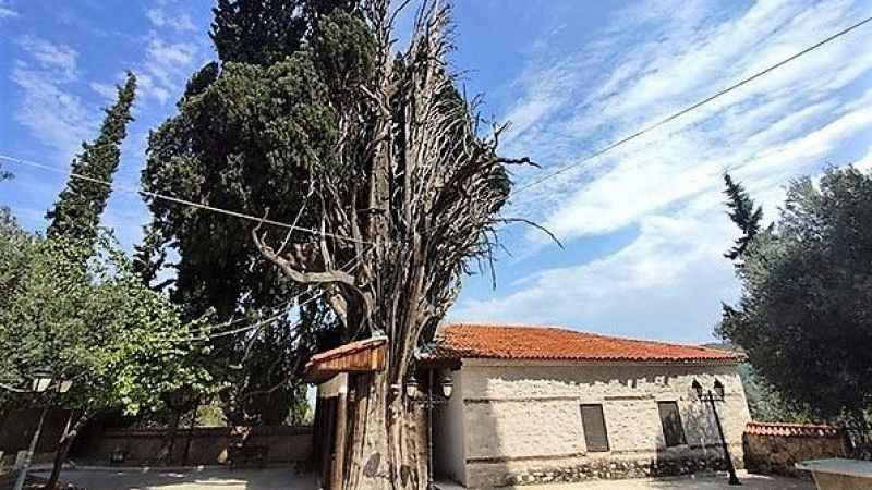 900 yıldır bu mahallede davul çalınmıyor