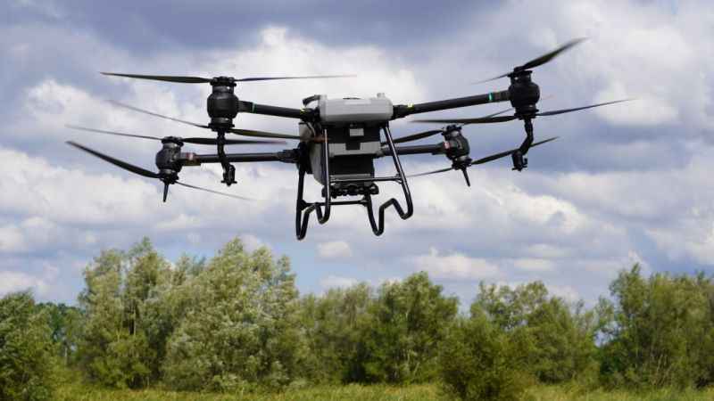 Çarşamba Ovası'nda ulaşımı zor tarım alanları dronla ilaçlanacak