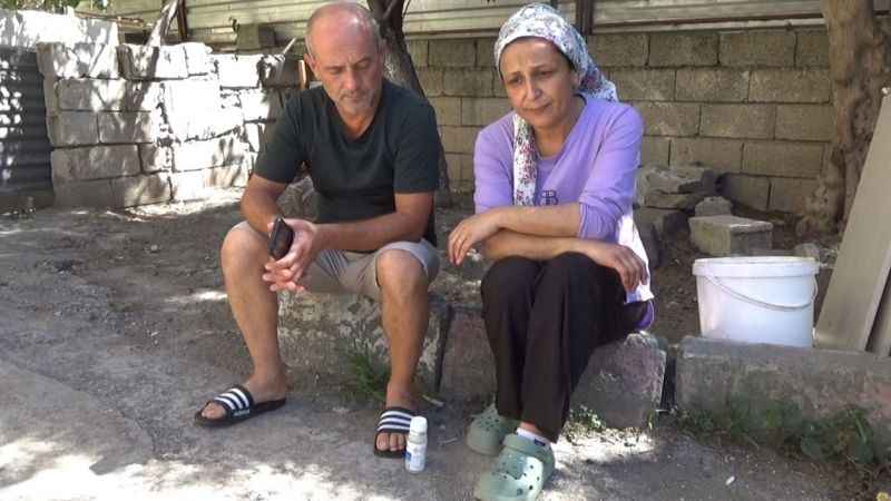 Böcekler, önce evlerini sonra vücutlarını istila etti