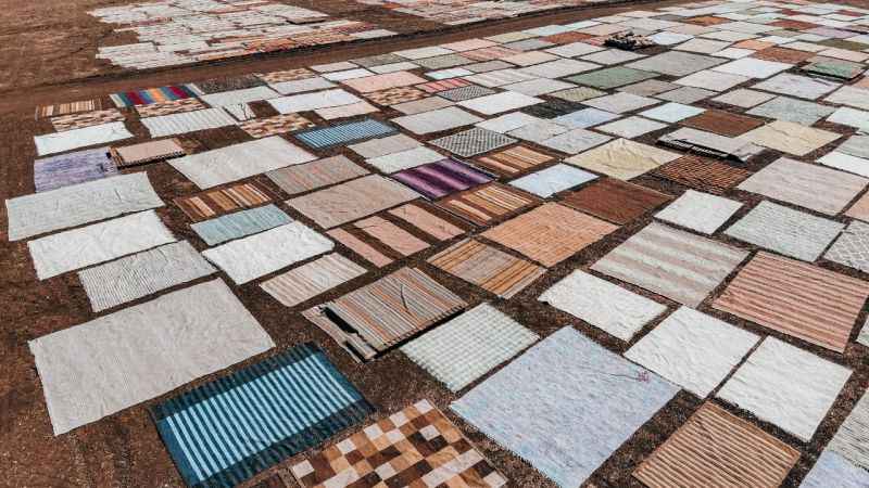 Halı tarlalarında güneşin soldurduğu milyonluk halıların hasatı başladı