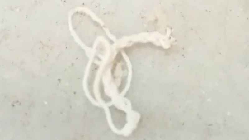 Aynı yerden alınan ekmeğin içinden yine ip çıktı