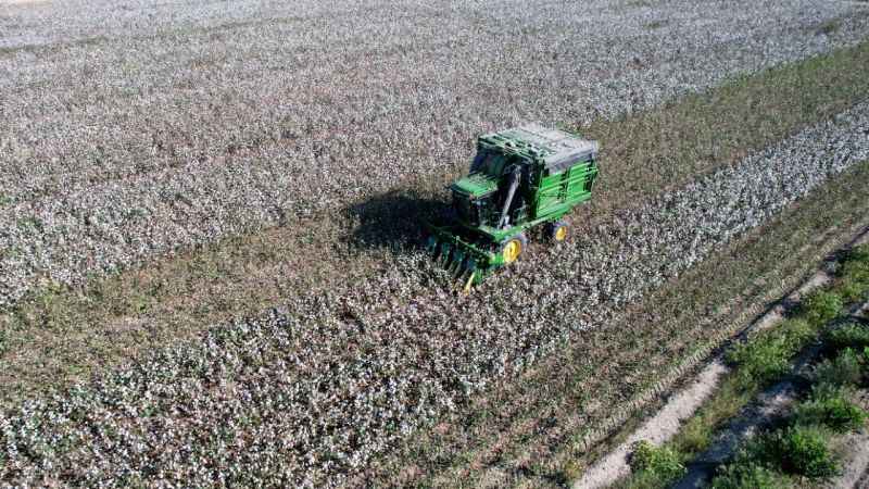Adana’da pamuk hasadı başladı