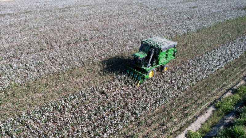 Adana’da pamuk hasadı başladı