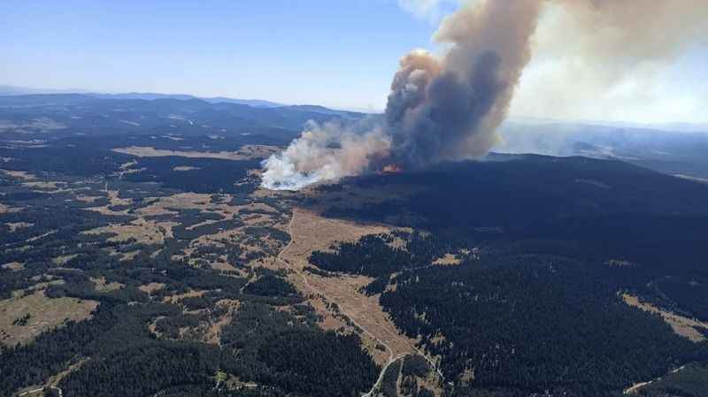 Bolu'da orman yangını !