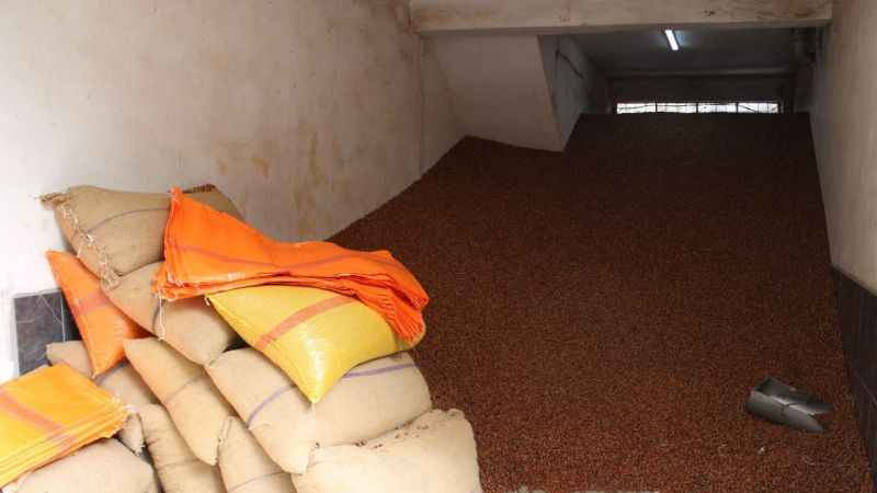 Serbest piyasada fındık 100 TL’ye ulaştı