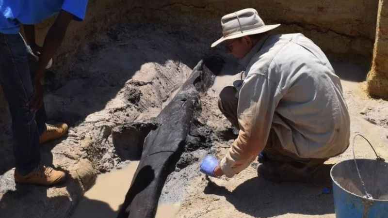 Zambiya'da 500 bin yıllık ahşap yapı bulundu