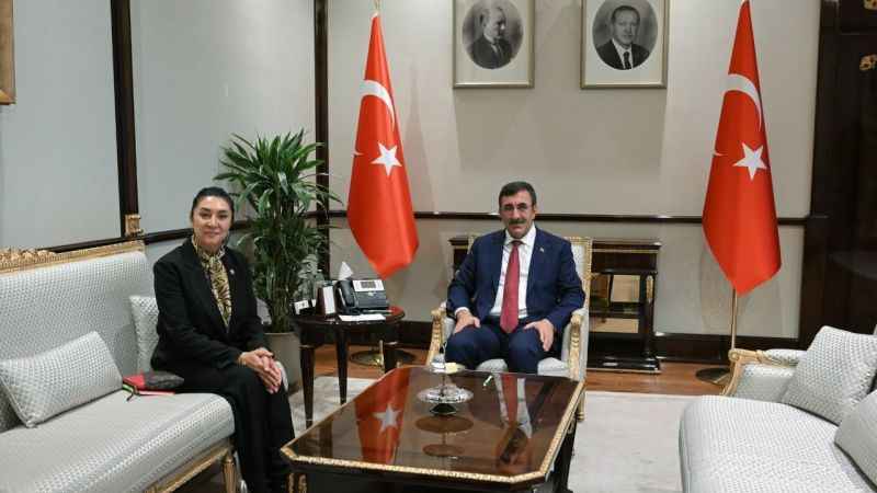 Cumhurbaşkanı Yardımcısı Yılmaz, Ağrı Milletvekili Kilerci ile görüştü